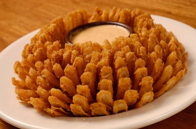 bloominonion-04-outback-maio08