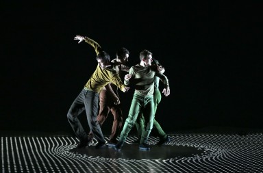 PIXEL, Direction artistique et choregraphie Mourad Merzouki, Assistante Marjorie Hannoteaux, Creation numerique Adrien Mondot et Claire Bardainne, Creation musicale Armand Amar, Lumieres Yoann Tivoli, Scenographie Benjamin Lebreton, Costumes Pascale Robin, MAC le 14 novembre 2014.
Avec : Remi Autechaud dit RMS, Kader Belmoktar, Marc Brillant, Elodie Chan, Aurelien Chareyron, Yvener Guillaume, Amelie Jousseaume, Ludovic Lacroix, Xuan Le, Steven Valade, Medesseganvi Yetongnon dit Swing.
(photo by Patrick Berger / ArtComArt)