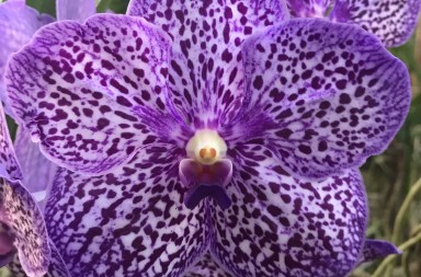 WhatsApp Image 2018-08-13 at 17.21.01