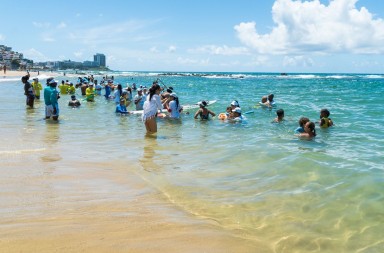 d700ceba-a071-4e00-927d-8ae4228f5bfc