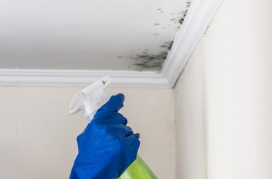 a77a6d1e-2bcd-4f26-b05d-61f920535da3