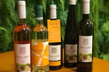 38feda3f-0dac-4ce2-b70c-6d9ff4542580