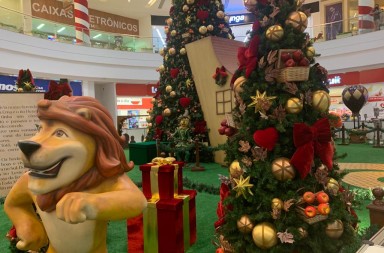 0ce928dc-4897-469b-be0d-3517783ef03d