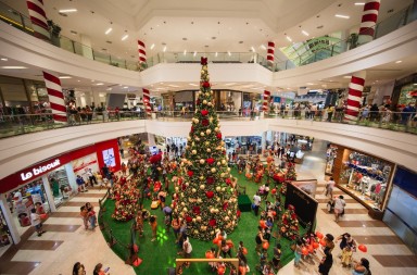 0e3635bf-9d74-4fc4-8158-ed7eacb0ee4a