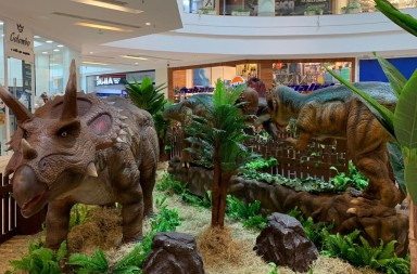 bcb69aec-dd7b-4aa8-abf3-e951779c2f7f