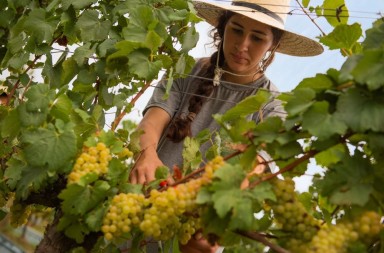 58ad0cbd-9ada-4953-aae2-cc5da176513c