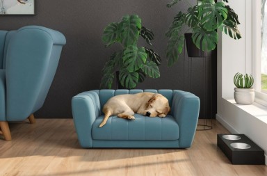 91f24c0f-22e9-4f8f-a3bb-7db87dd88a76