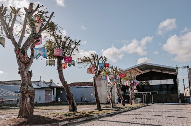 54eff555-1e7c-4c76-9201-66c8a3744262