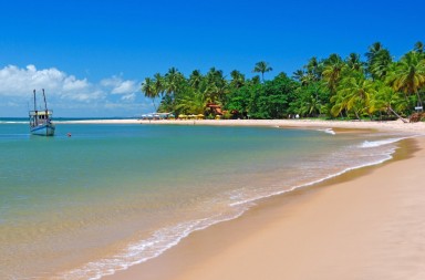 17d9fa67-1e65-46b8-8632-f5eccb54f303