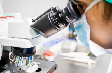 8E8333E9-929A-41F4-9917-1B2CF951FC5D