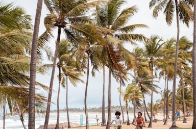 081E8D3A-F767-4BBD-8755-9A32CB836549