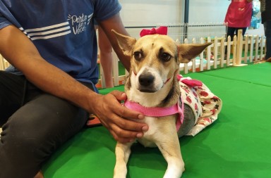 D43C39E4-3B8A-4531-B437-065B4E4E4E98