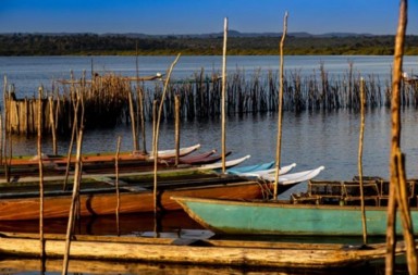 cc1f2c2f-3075-4292-b967-8cf8e3ef4072