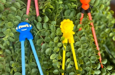 86dc2a8e-8bb5-485f-9aa0-7eaf24d97172