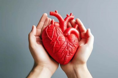 26c12526-2348-4d41-bc76-53352a9733e4